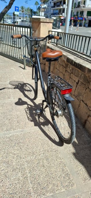 Bicicleta Paseo Talla XL