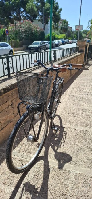 Bicicleta Paseo Talla XL