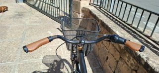 Bicicleta Paseo Talla XL
