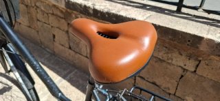 Bicicleta Paseo Talla XL