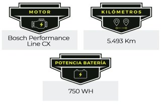 Bici Eléctrica Enduro DH Mondraker Crafty R