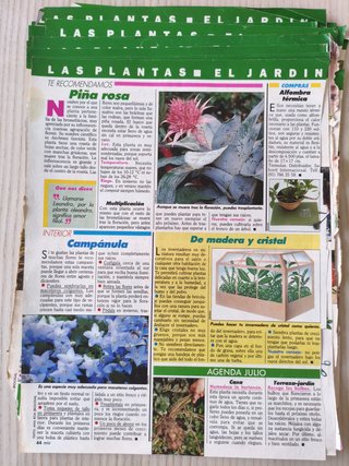 Lote recortes revista Teleindiscreta años 80/90