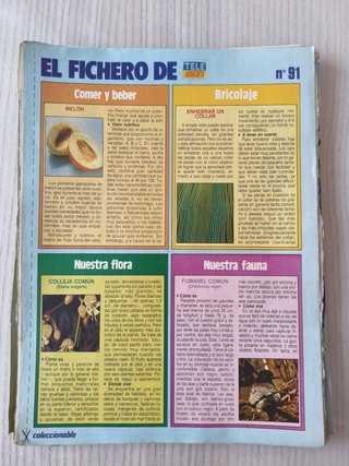Lote recortes revista Teleindiscreta años 80/90
