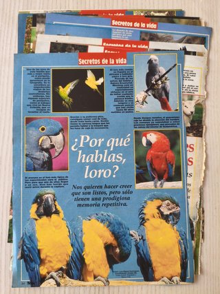 Lote recortes revista Teleindiscreta años 80/90