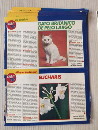Lote recortes revista Teleindiscreta años 80/90