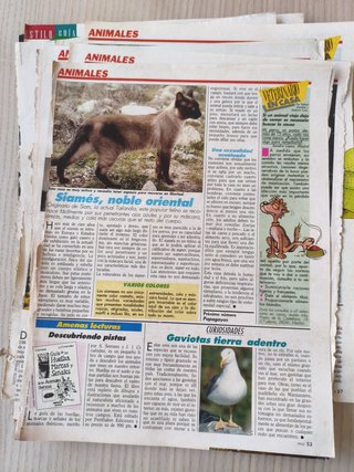 Lote recortes revista Teleindiscreta años 80/90
