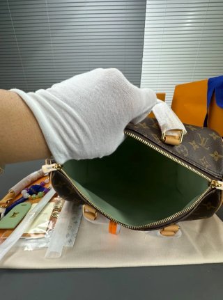Bauletto Louis Vuitton Pelle Beige/Marrone