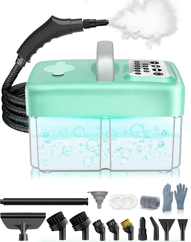 Vaporeta Limpieza Hogar 2500W