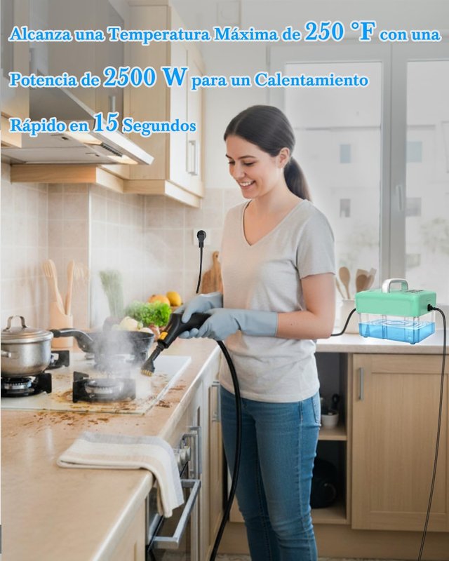 Vaporeta Limpieza Hogar 2500W