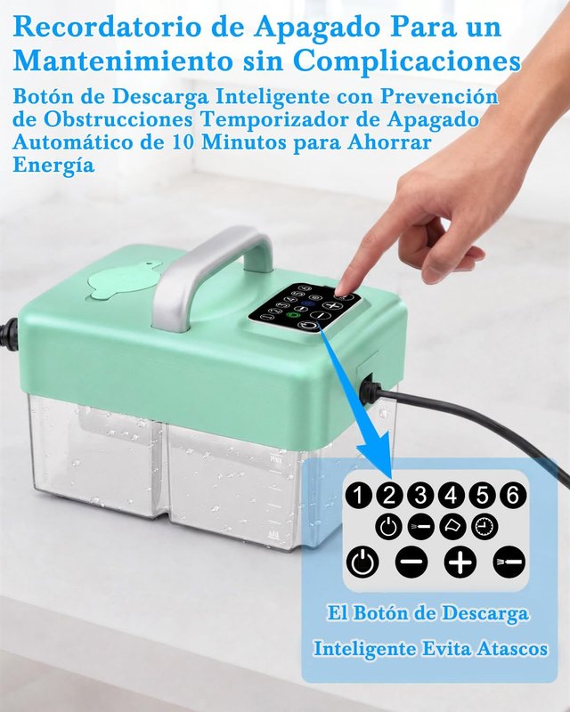 Vaporeta Limpieza Hogar 2500W