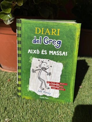 Libro diari del Greg 3