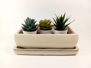 Maceta para bonsai de cerámica beige