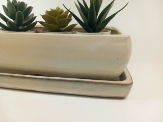 Maceta para bonsai de cerámica beige