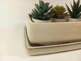 Maceta para bonsai de cerámica beige