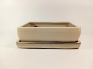 Maceta para bonsai de cerámica beige
