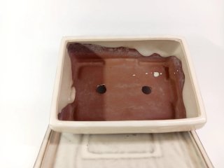 Maceta para bonsai de cerámica beige