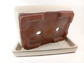 Maceta para bonsai de cerámica beige