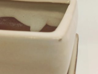 Maceta para bonsai de cerámica beige