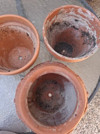 Maceteros de barro jardín plantas decoración