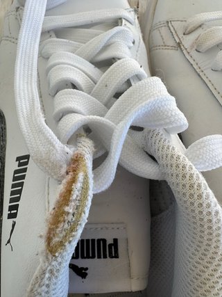 Zapatillas Puma Blancas