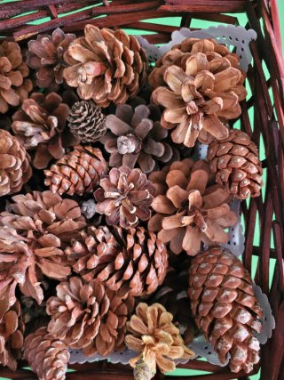 Cesto de mimbre con piñas decorativas