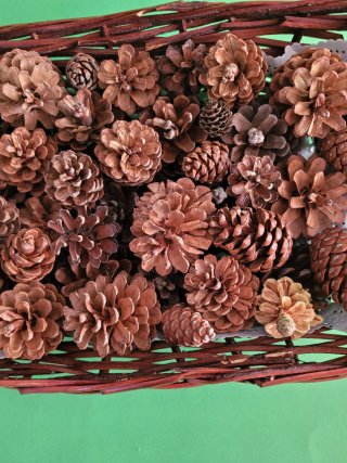 Cesto de mimbre con piñas decorativas