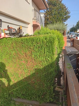 Servicio de jardinería y mantenimiento