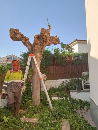 Servicio de jardinería y mantenimiento