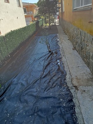 Servicio de jardinería y mantenimiento