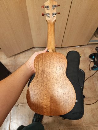 Ukelele ammoon con funda