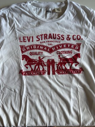 Lote Camiseta Ralph Lauren, levis, tommy y otros