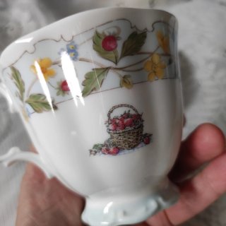 🇬🇧 Royal Doulton Brambly Hedge The Engagement