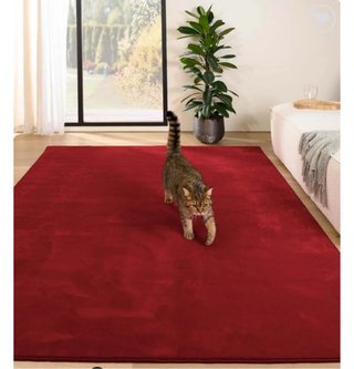 Alfombra salón grande Ikea roja