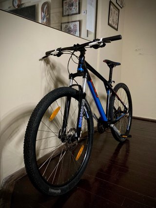 Bicicleta GT Karakoram 29