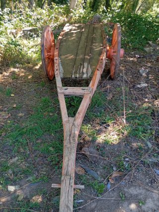 Carro antiguo de vacas