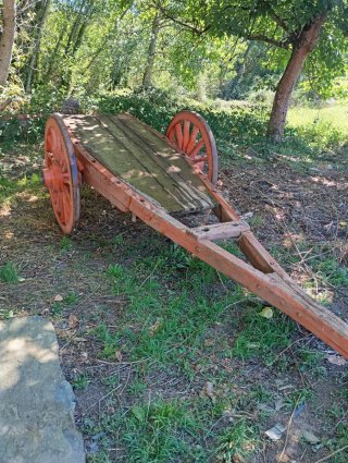 Carro antiguo de vacas