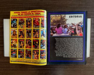 RIP ESPECIAL - GUNS N’ ROSES LIVE! (Revista 1992)