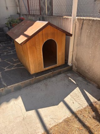 Caseta Perro Grande Madera