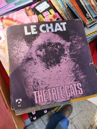 Lote 3 de 54 singles franceses