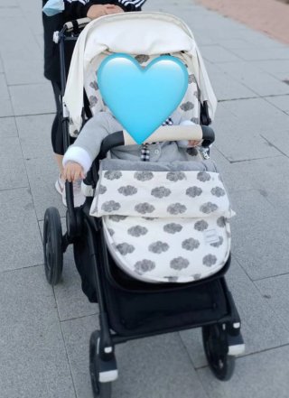 Bugaboo Fox 2: Silla + Capazo + 2 Capotas