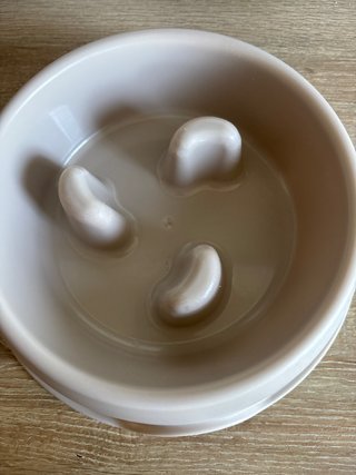 Comedero lento para perros