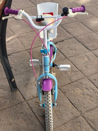 Bicicleta Frozen Niña