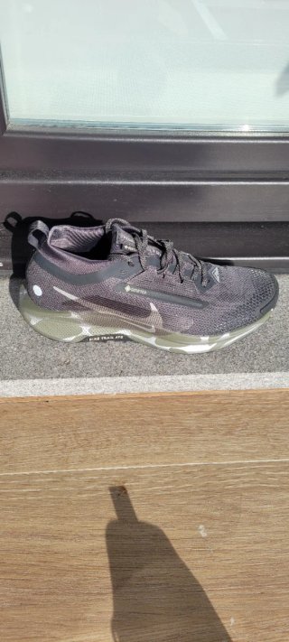 Nike Pegasus Trail 5 GORE-TEX Negro/Oliva
