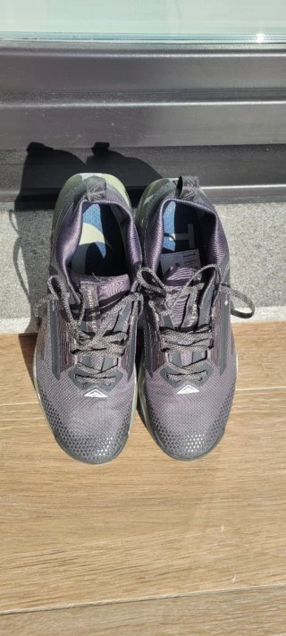 Nike Pegasus Trail 5 GORE-TEX Negro/Oliva