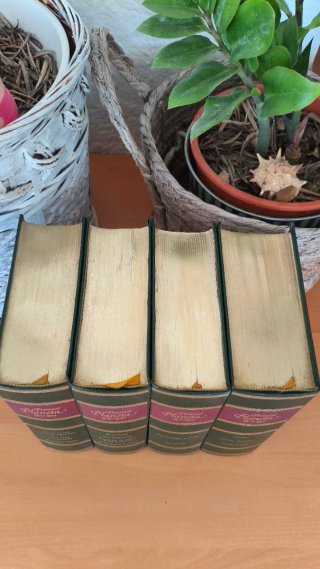 LOTE LIBROS PREMIO PLANETA