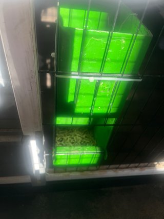 Jaula para conejo blanca y gris