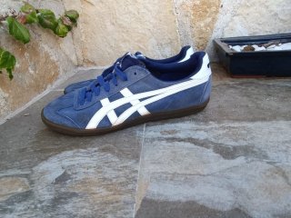 Zapatillas Asics Azul y Blanco