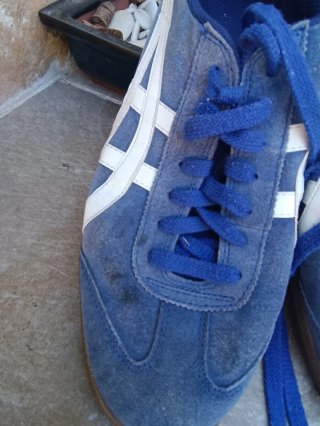 Zapatillas Asics Azul y Blanco