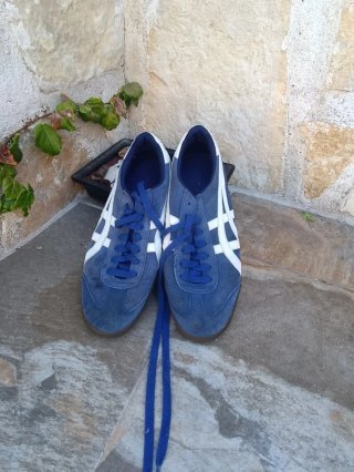 Zapatillas Asics Azul y Blanco
