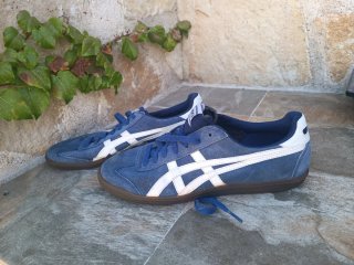 Zapatillas Asics Azul y Blanco